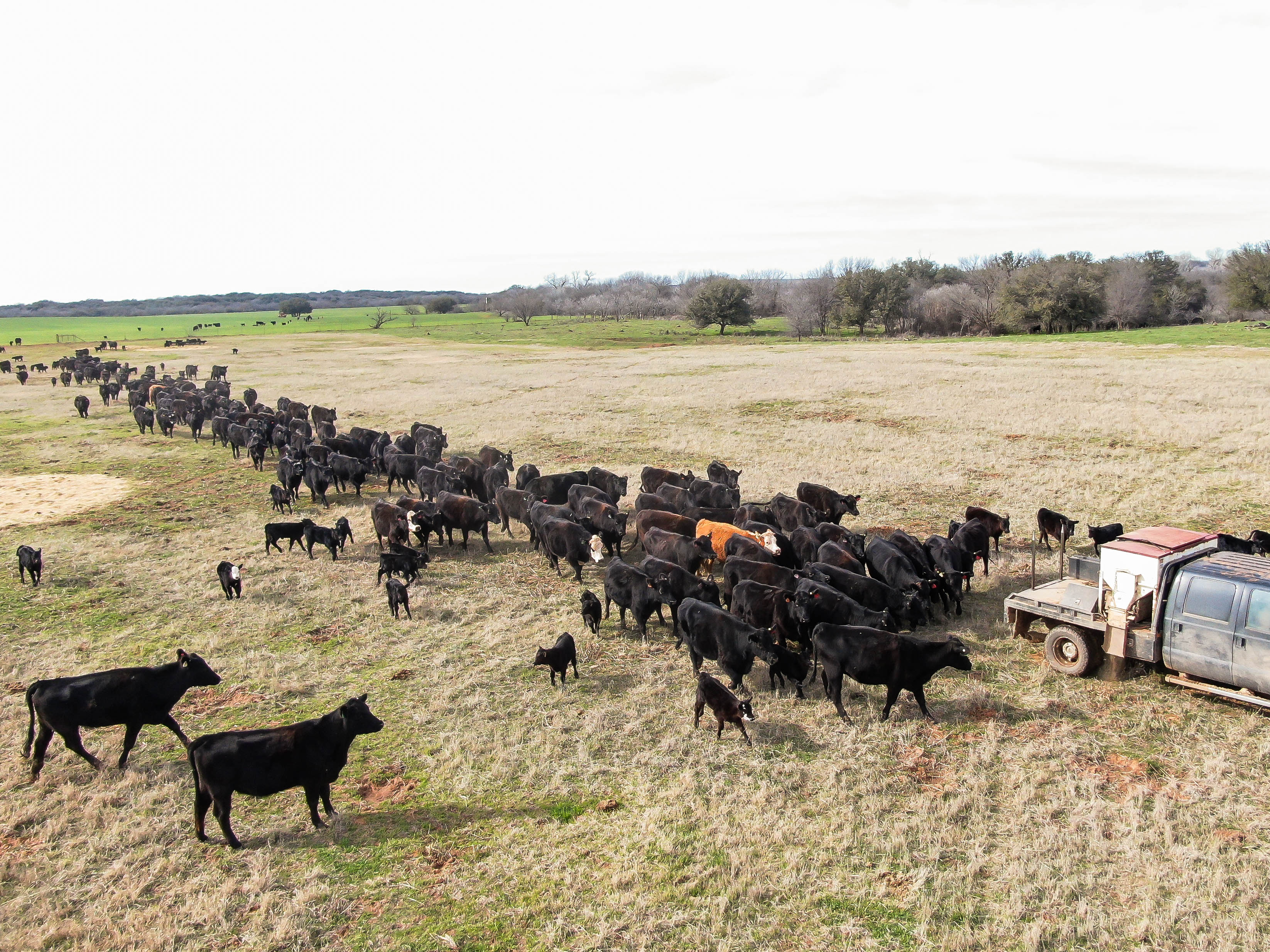 Trip Hopper DJI 0181.jpg